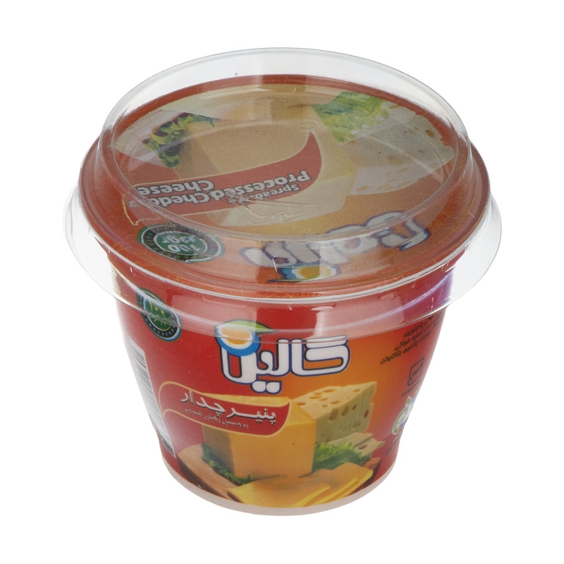 کالین پنیر دیپ چدار لیوانی 100gr