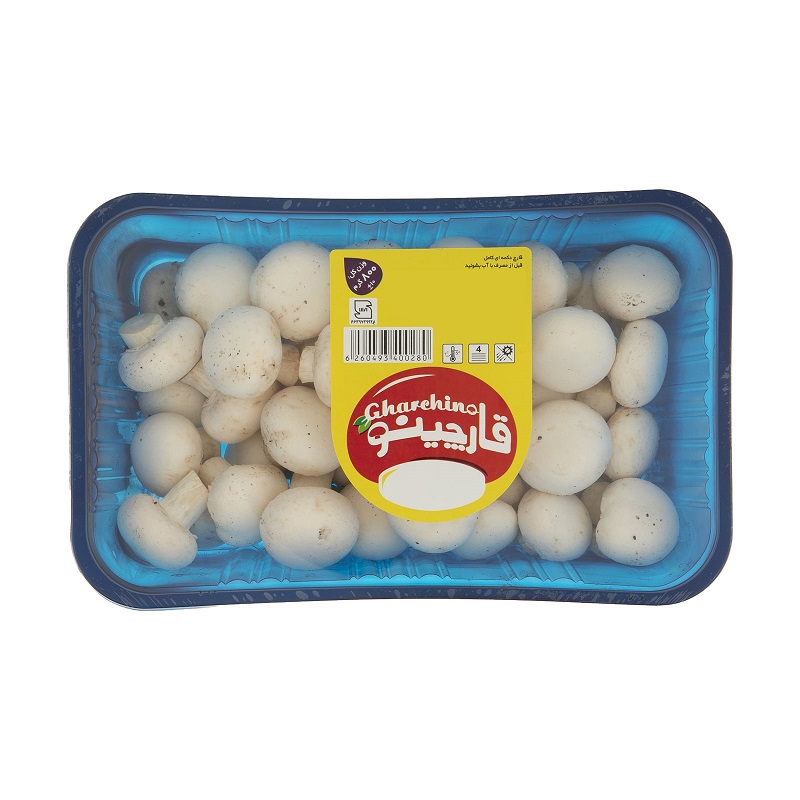 پارس شهريار قارچ كامل قارچينو 250gr